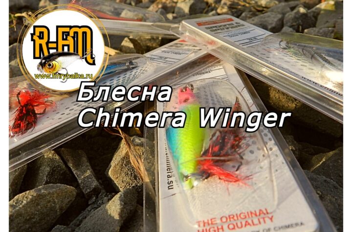 blesna-chimera-winger-universalnaya-klassika-www.fmrybalka.ru