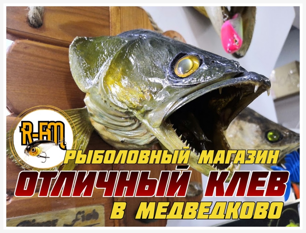 rybolovnyj-magazin-otlichnyj-klev-v-medvedkovo
