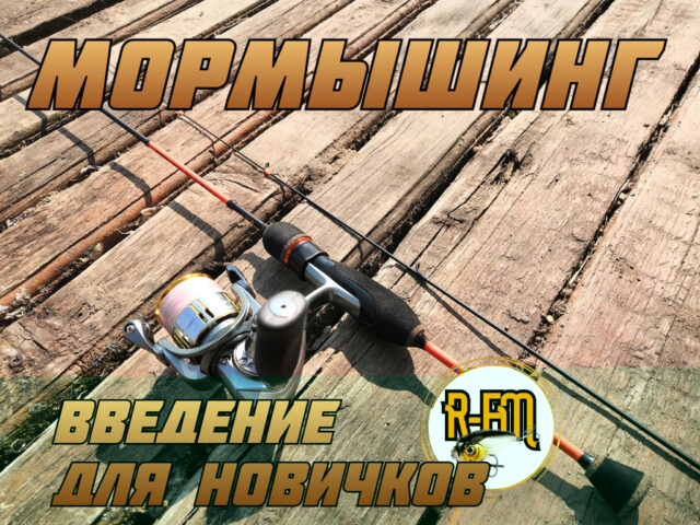 mormyshing-vvedenie-dlya-novichkov