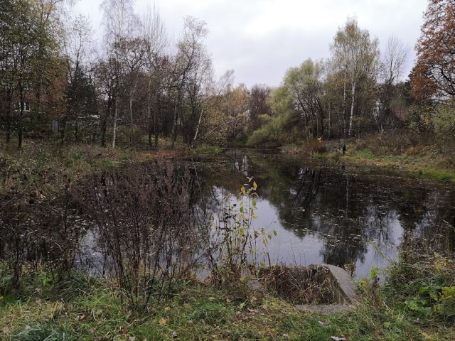 verhnij-lianozovskij-prud-osen