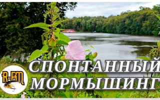 Спонтанный мормышинг на Уче в Марфино
