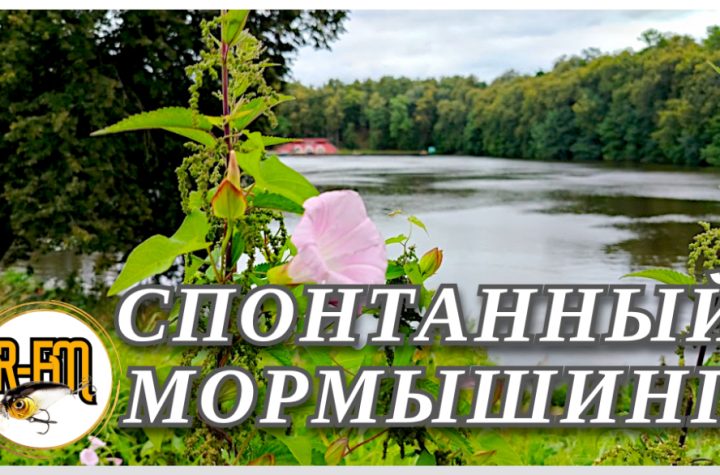 spontannyj-mormyshing-na-uche-v-marfino